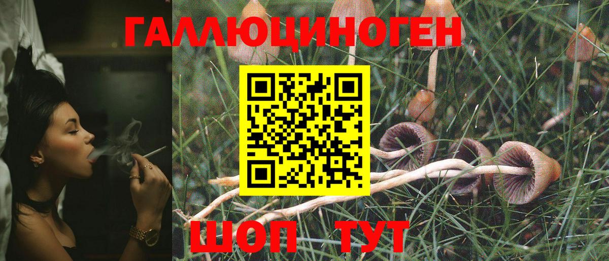 Псилоцибиновые грибы MAGIC MUSHROOMS Ирбит